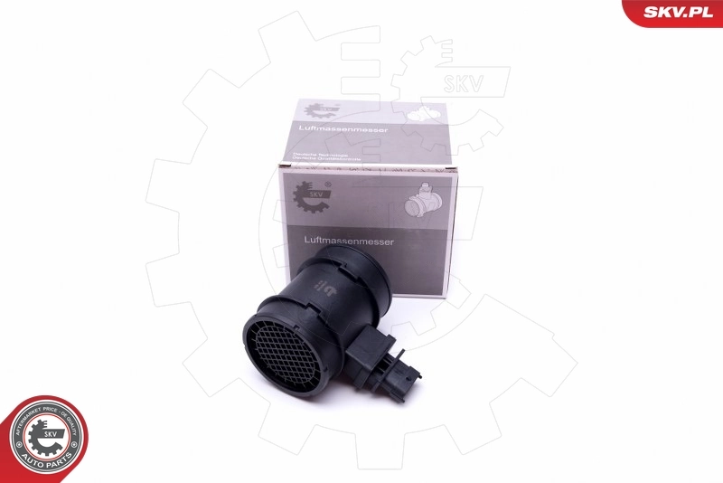 Mass Air Flow Sensor